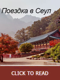 pdf book